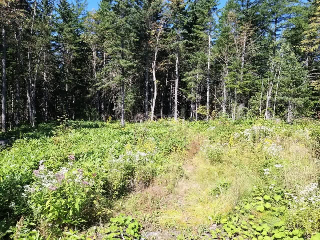 Продажа участка, Южно-Сахалинск, Сахалинская область,  Южно-Сахалинск