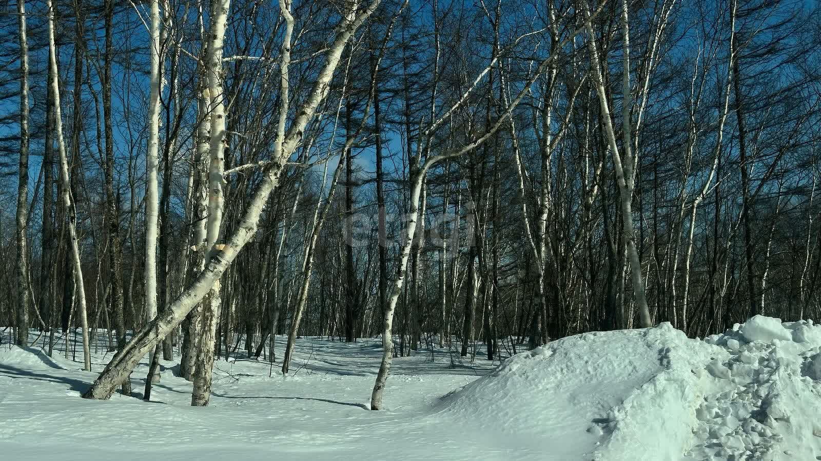 Продажа участка, Южно-Сахалинск, Сахалинская область,  