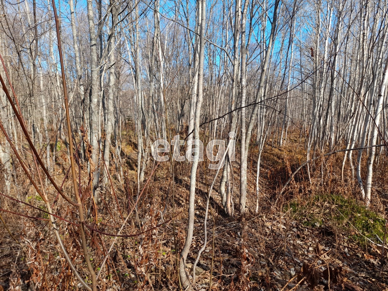 Продажа участка, Южно-Сахалинск, Сахалинская область,  