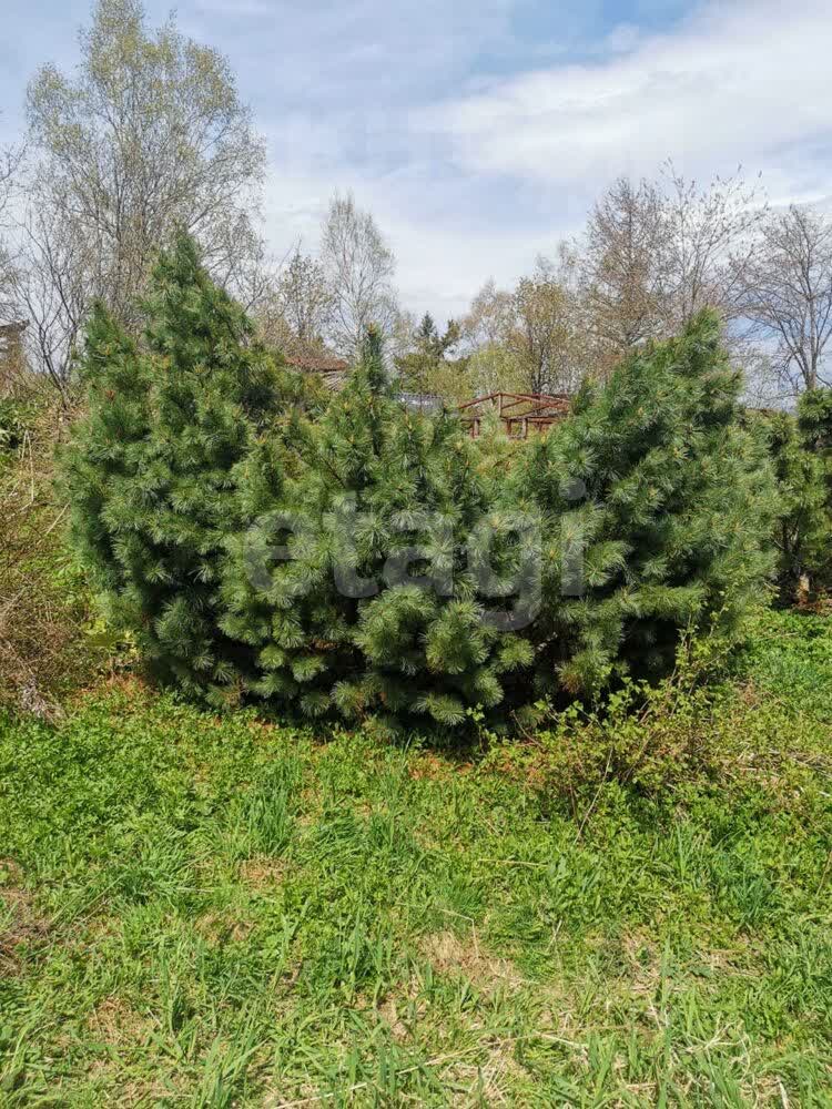 Продажа участка, Южно-Сахалинск, Сахалинская область,  Южно-Сахалинск