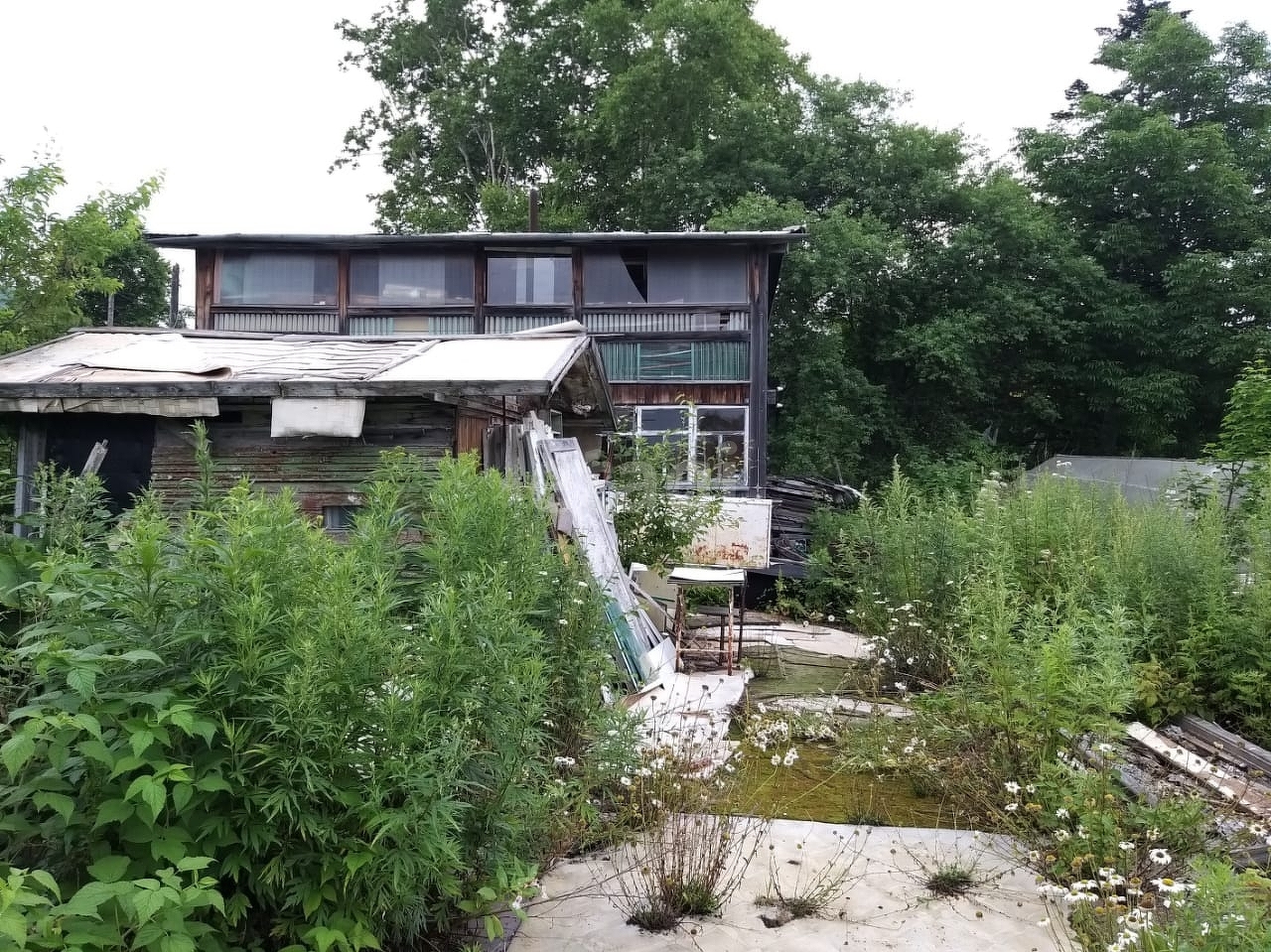 Продажа участка, Южно-Сахалинск, Сахалинская область,  