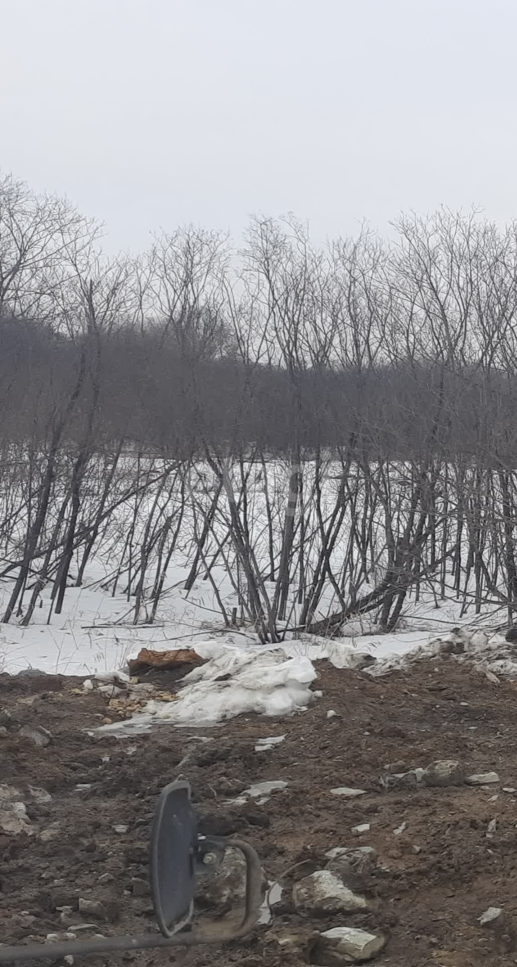 Продажа участка, Южно-Сахалинск, Сахалинская область,  