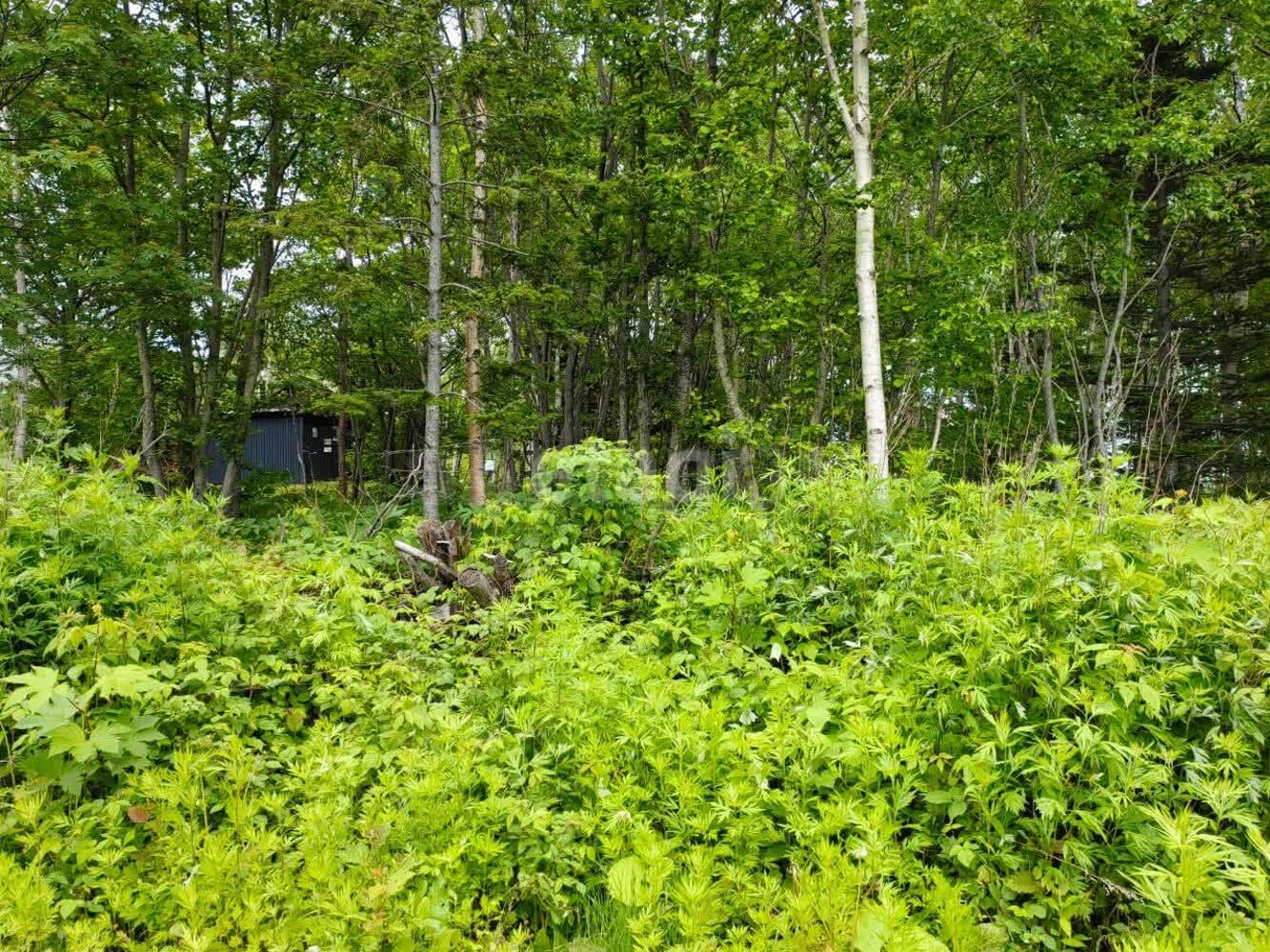 Продажа участка, Южно-Сахалинск, Сахалинская область,  Южно-Сахалинск