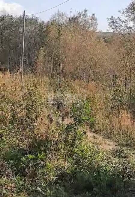 Продажа участка, Южно-Сахалинск, Сахалинская область,  Южно-Сахалинск