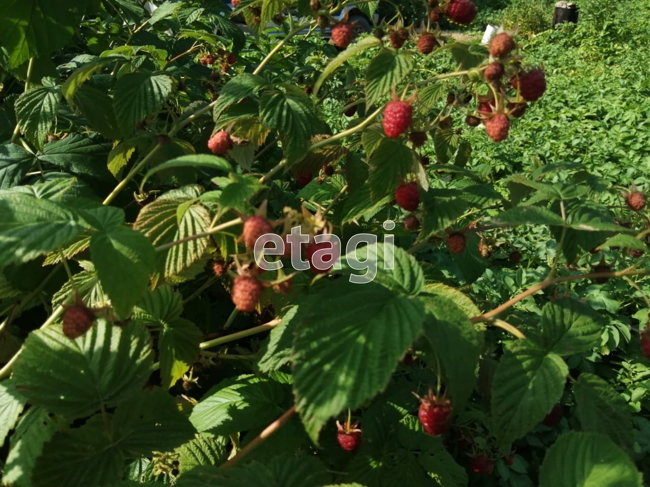 Продажа участка, Южно-Сахалинск, Сахалинская область,  