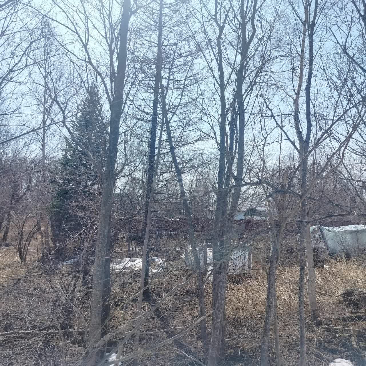 Продажа участка, Южно-Сахалинск, Сахалинская область,  Южно-Сахалинск