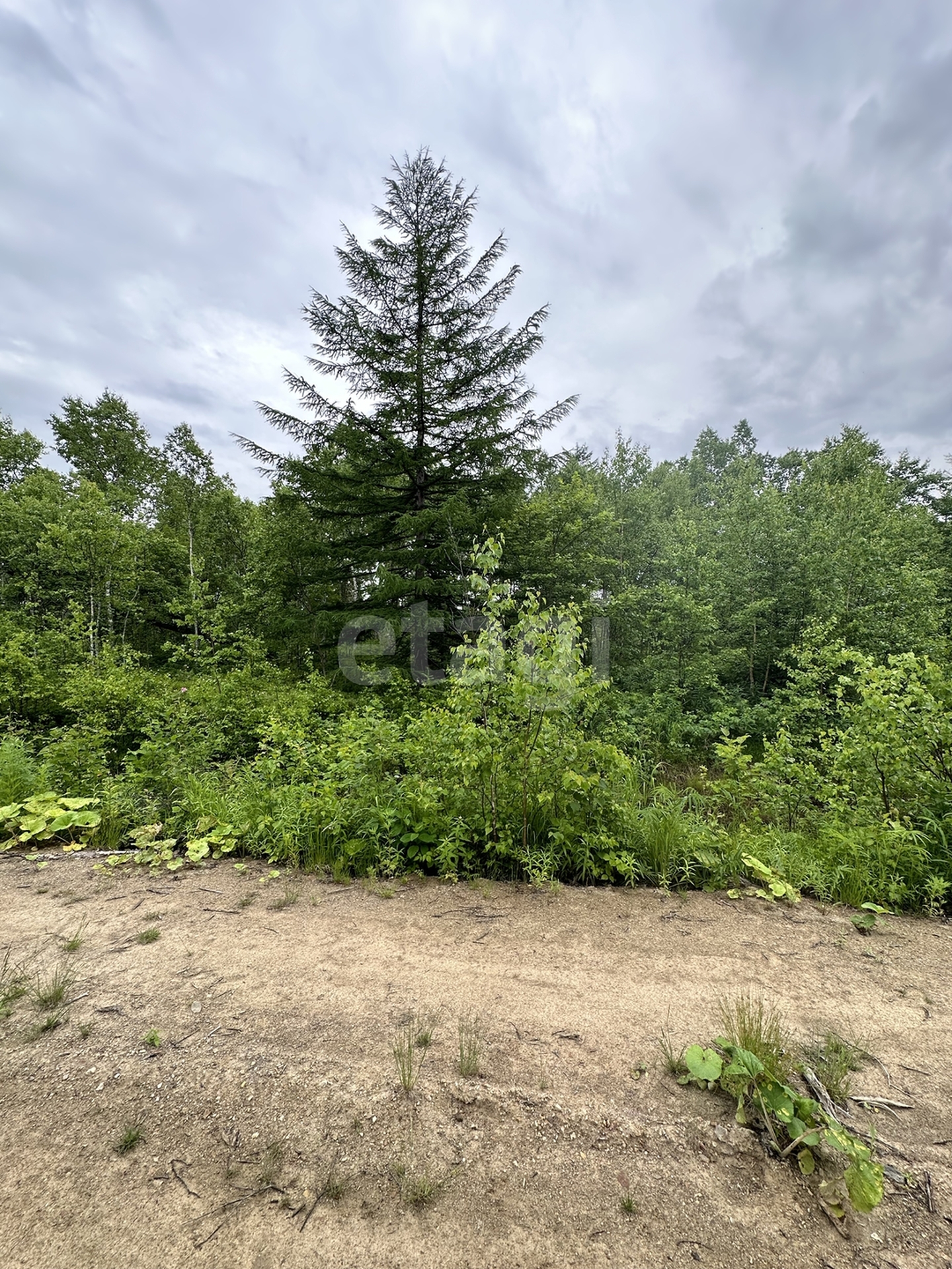 Продажа участка, Южно-Сахалинск, Сахалинская область,  