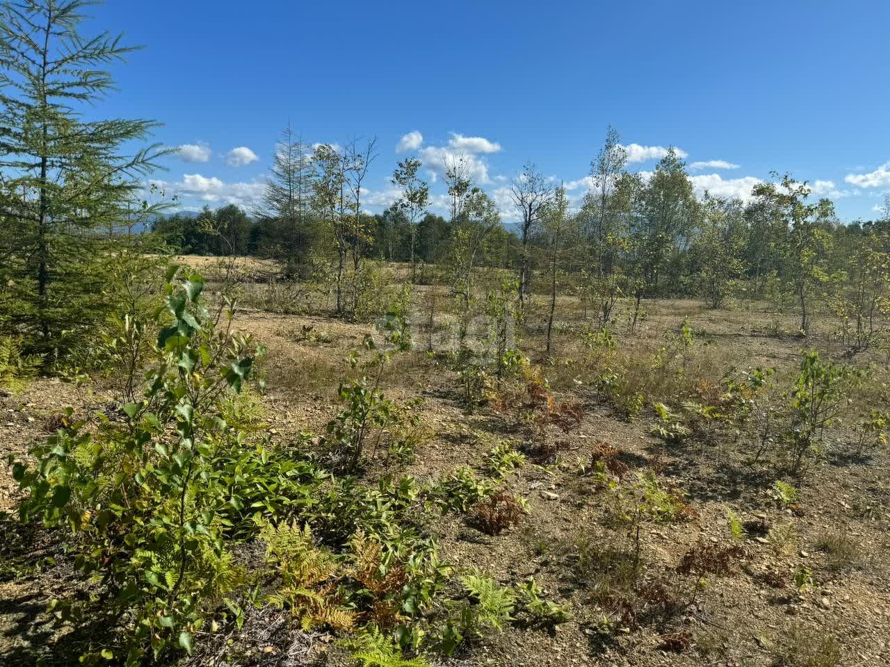 Продажа участка, Южно-Сахалинск, Сахалинская область,  Южно-Сахалинск