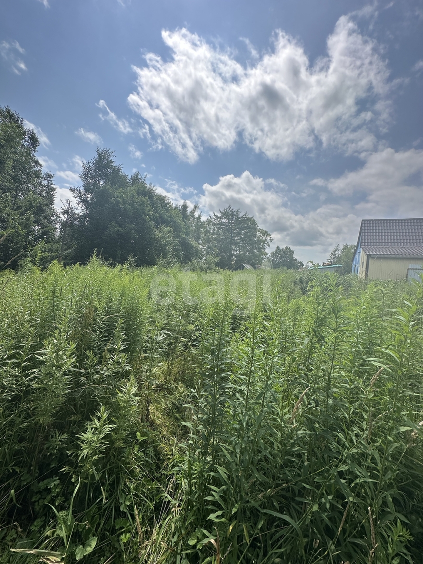 Продажа участка, Южно-Сахалинск, Сахалинская область,  