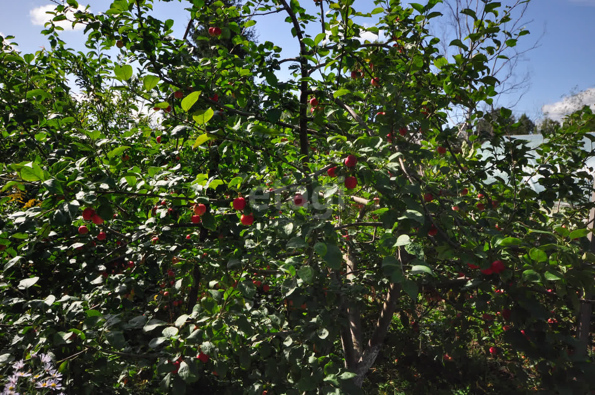 Продажа дома, 126м <sup>2</sup>, 6 сот., Южно-Сахалинск, Сахалинская область,  