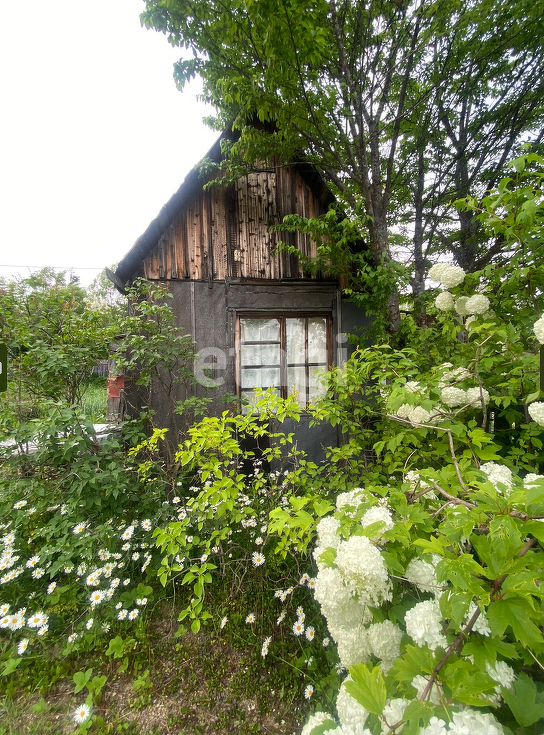 Продажа участка, Южно-Сахалинск, Сахалинская область,  