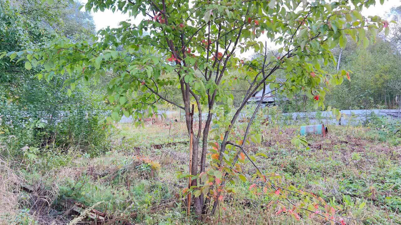 Продажа дачи, 35м <sup>2</sup>, 9 сот., Южно-Сахалинск, Сахалинская область,  Южно-Сахалинск