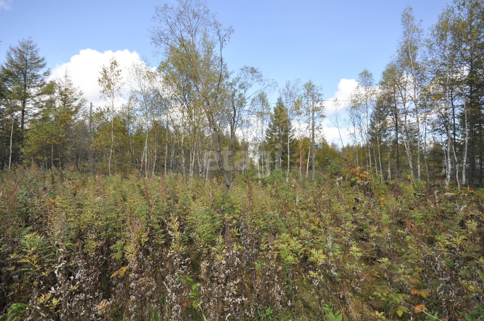 Продажа участка, Южно-Сахалинск, Сахалинская область,  Южно-Сахалинск