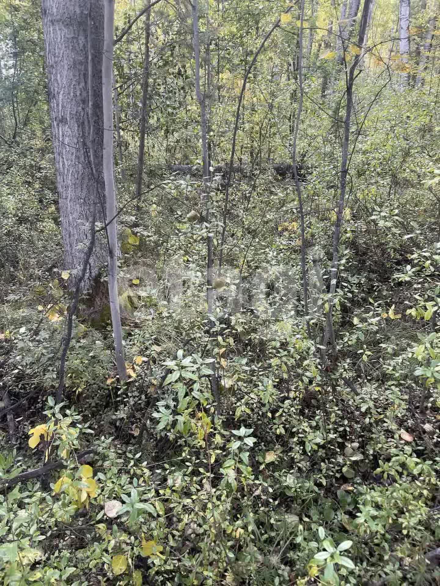 Продажа участка, Улан-Удэ, Республика Бурятия,  Баргузинский