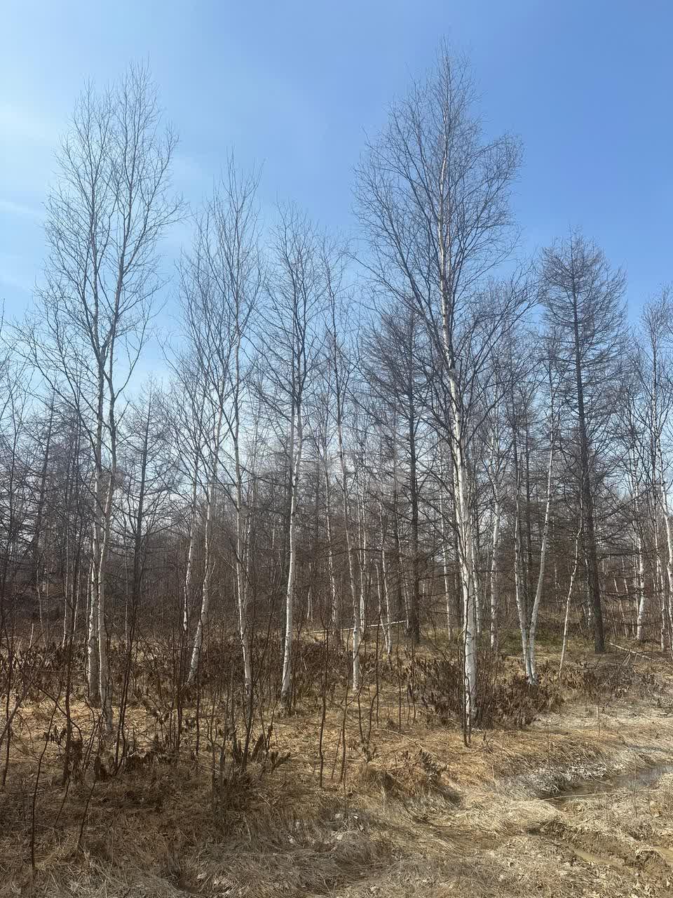 Продажа участка, Южно-Сахалинск, Сахалинская область,  Южно-Сахалинск