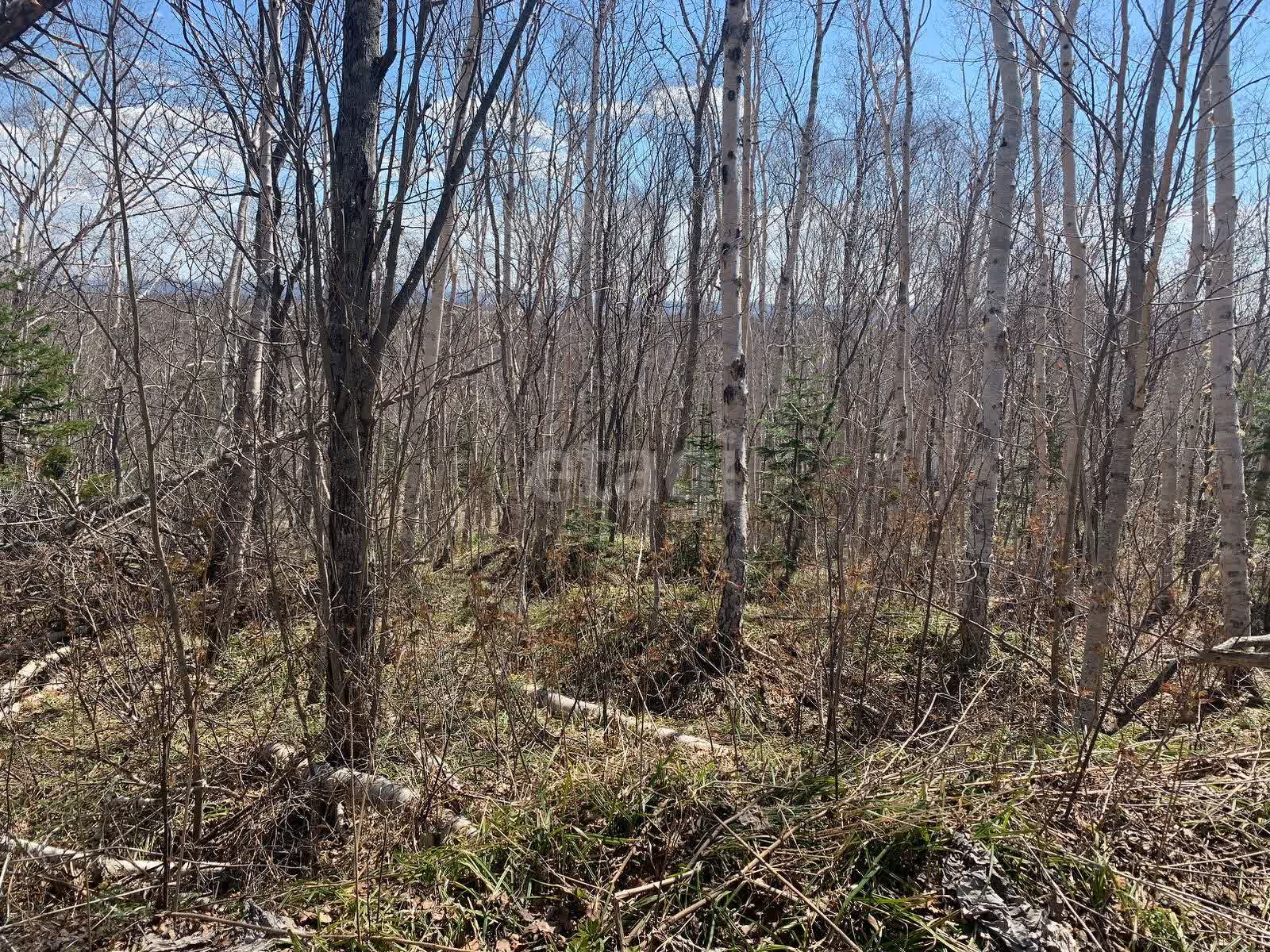 Продажа участка, Южно-Сахалинск, Сахалинская область,  Южно-Сахалинск