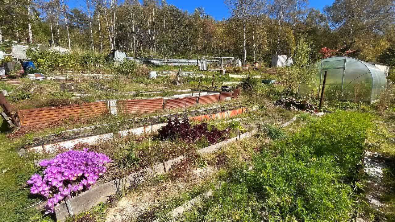 Продажа дачи, 30м <sup>2</sup>, 11 сот., Южно-Сахалинск, Сахалинская область,  