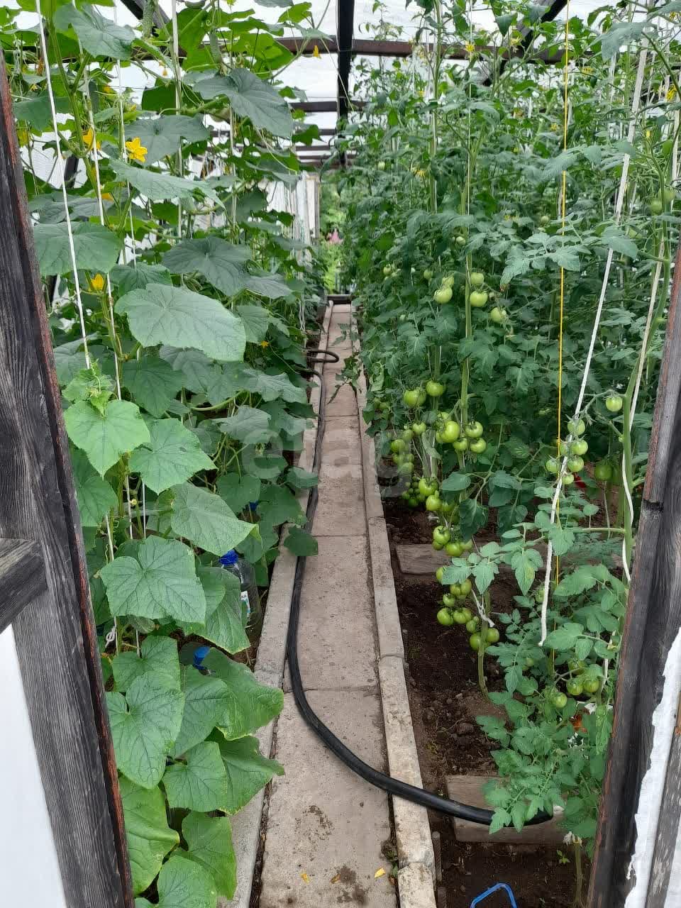 Продажа участка, Южно-Сахалинск, Сахалинская область,  