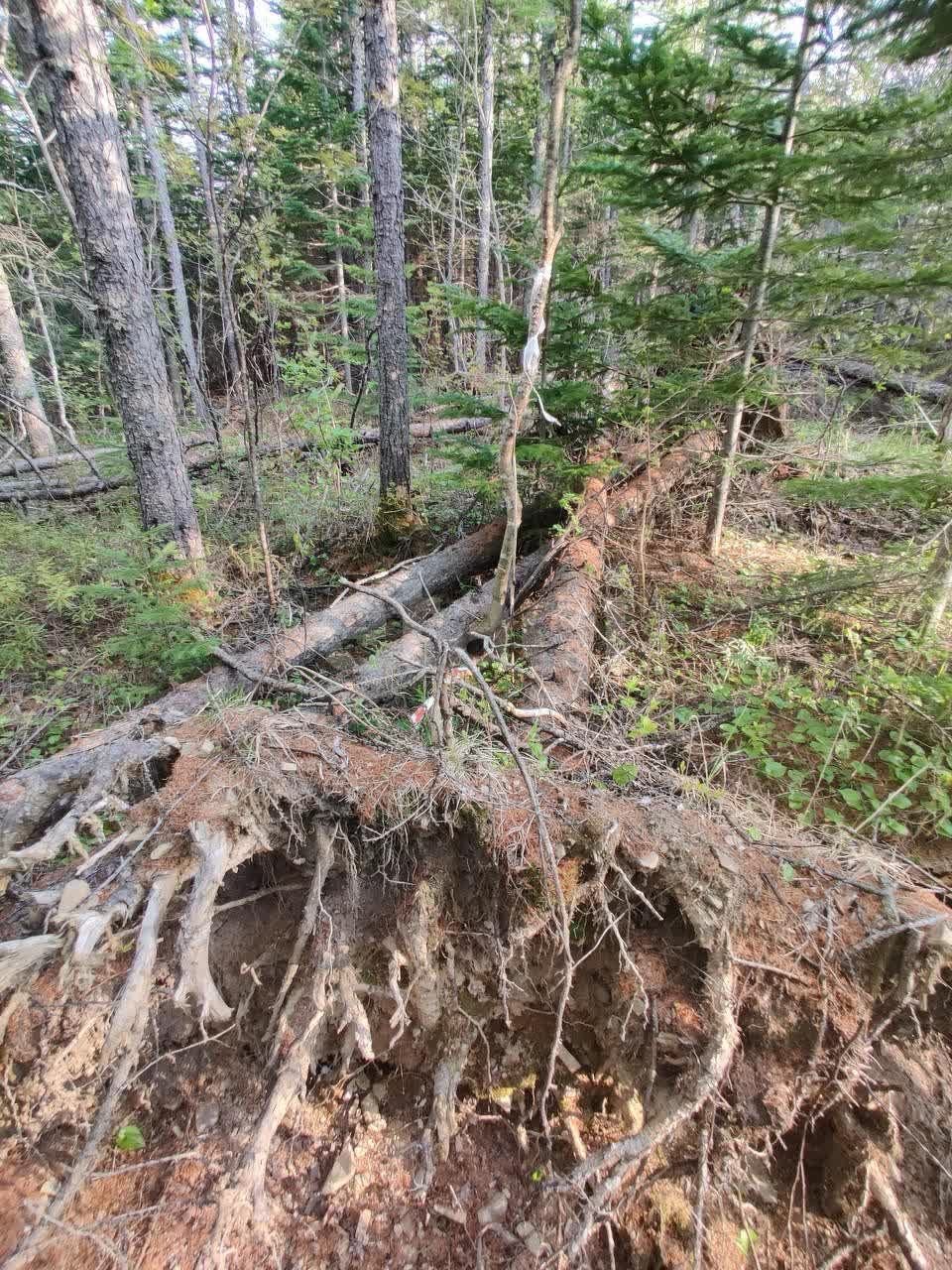 Продажа участка, Южно-Сахалинск, Сахалинская область,  Южно-Сахалинск