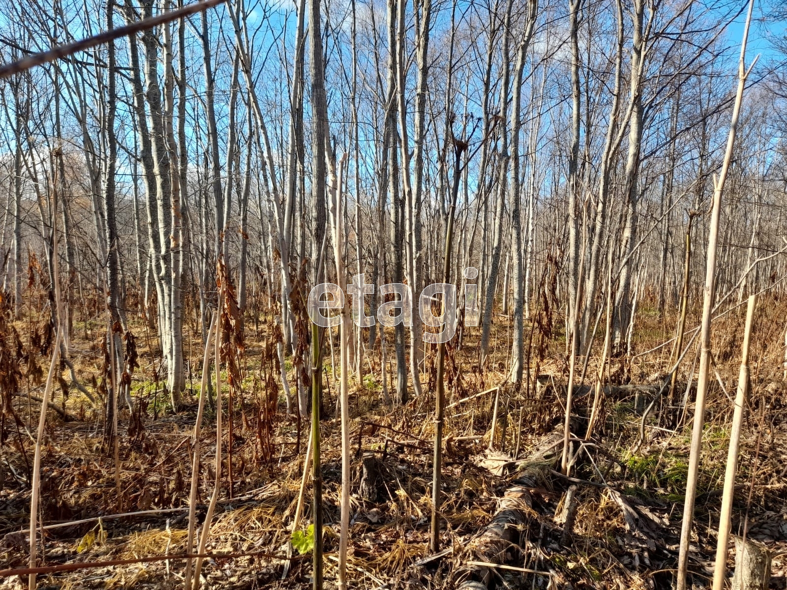 Продажа участка, Южно-Сахалинск, Сахалинская область,  