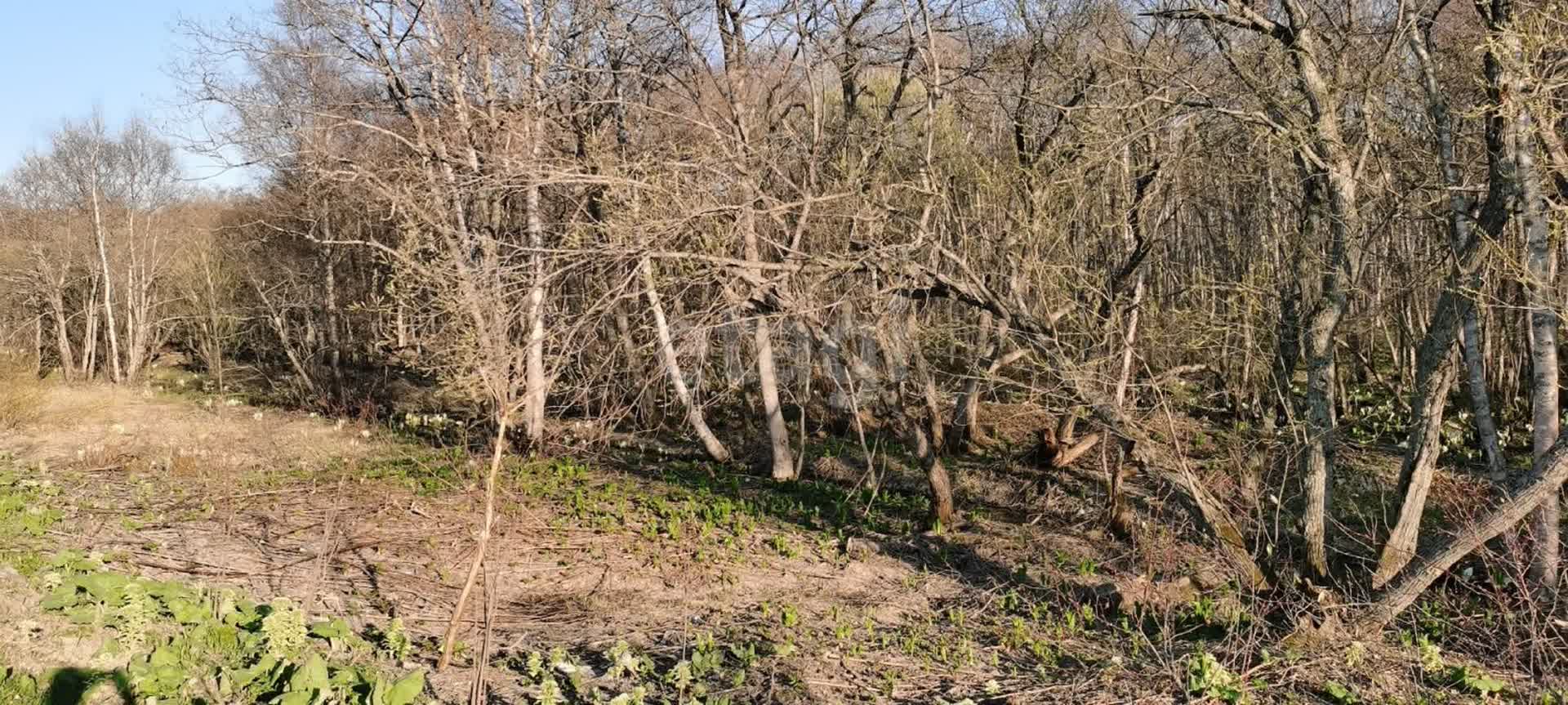 Продажа участка, Южно-Сахалинск, Сахалинская область,  Южно-Сахалинск