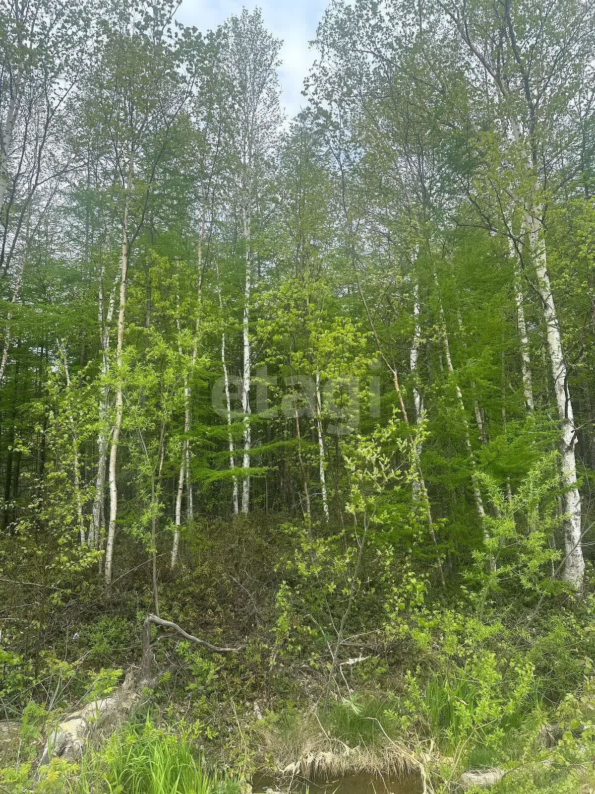 Продажа участка, Южно-Сахалинск, Сахалинская область,  Южно-Сахалинск