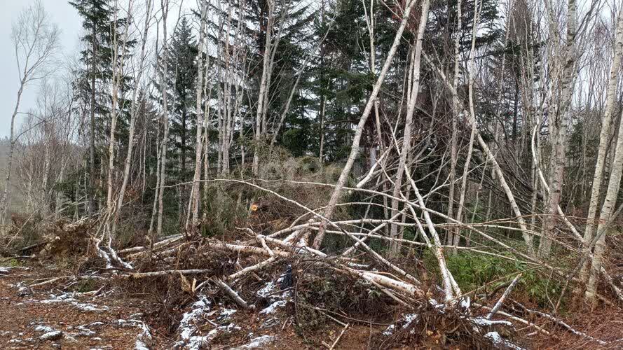Продажа участка, Южно-Сахалинск, Сахалинская область,  Южно-Сахалинск