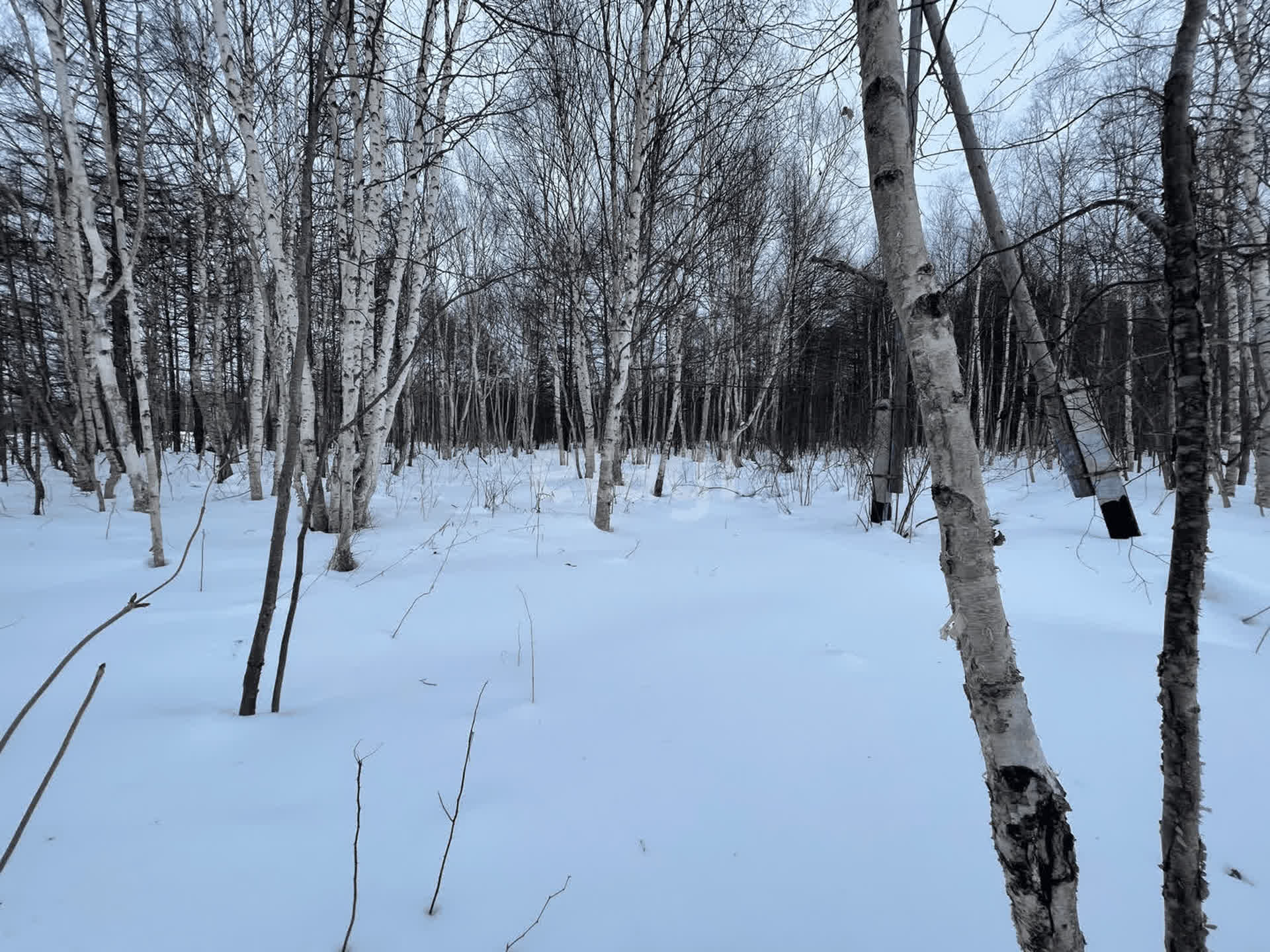 Продажа участка, Южно-Сахалинск, Сахалинская область,  Южно-Сахалинск