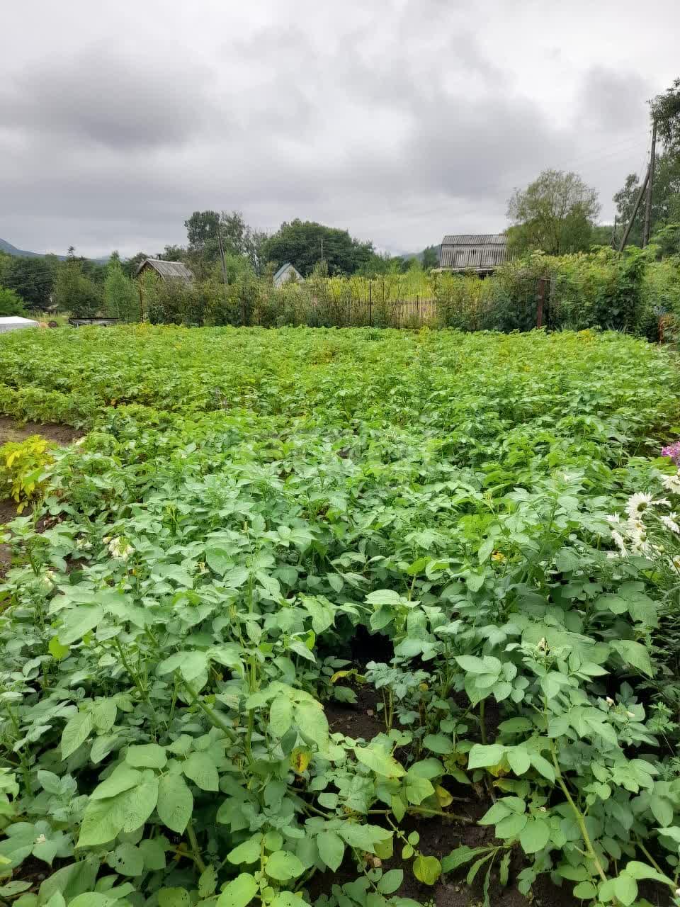 Продажа участка, Южно-Сахалинск, Сахалинская область,  