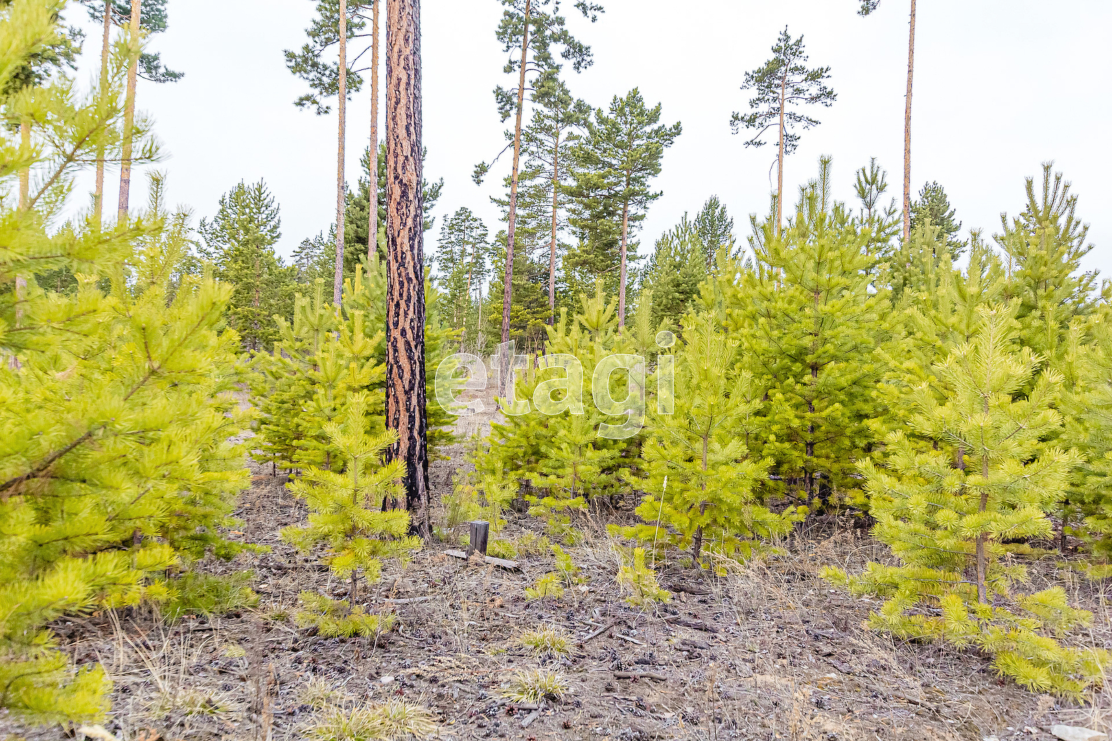 Продажа участка, Улан-Удэ, Республика Бурятия,  Октябрьский