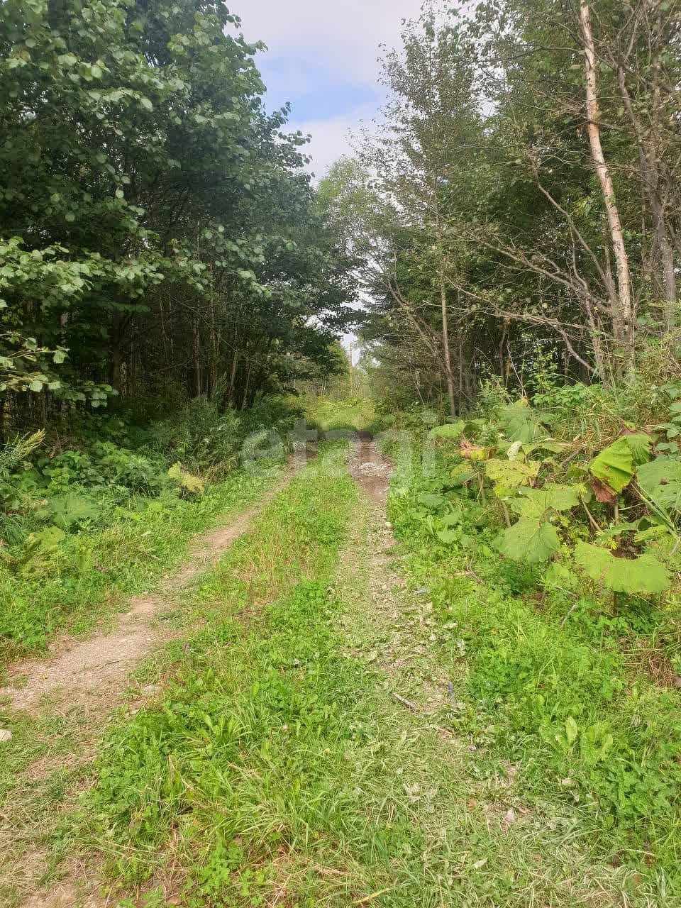 Продажа участка, Южно-Сахалинск, Сахалинская область,  