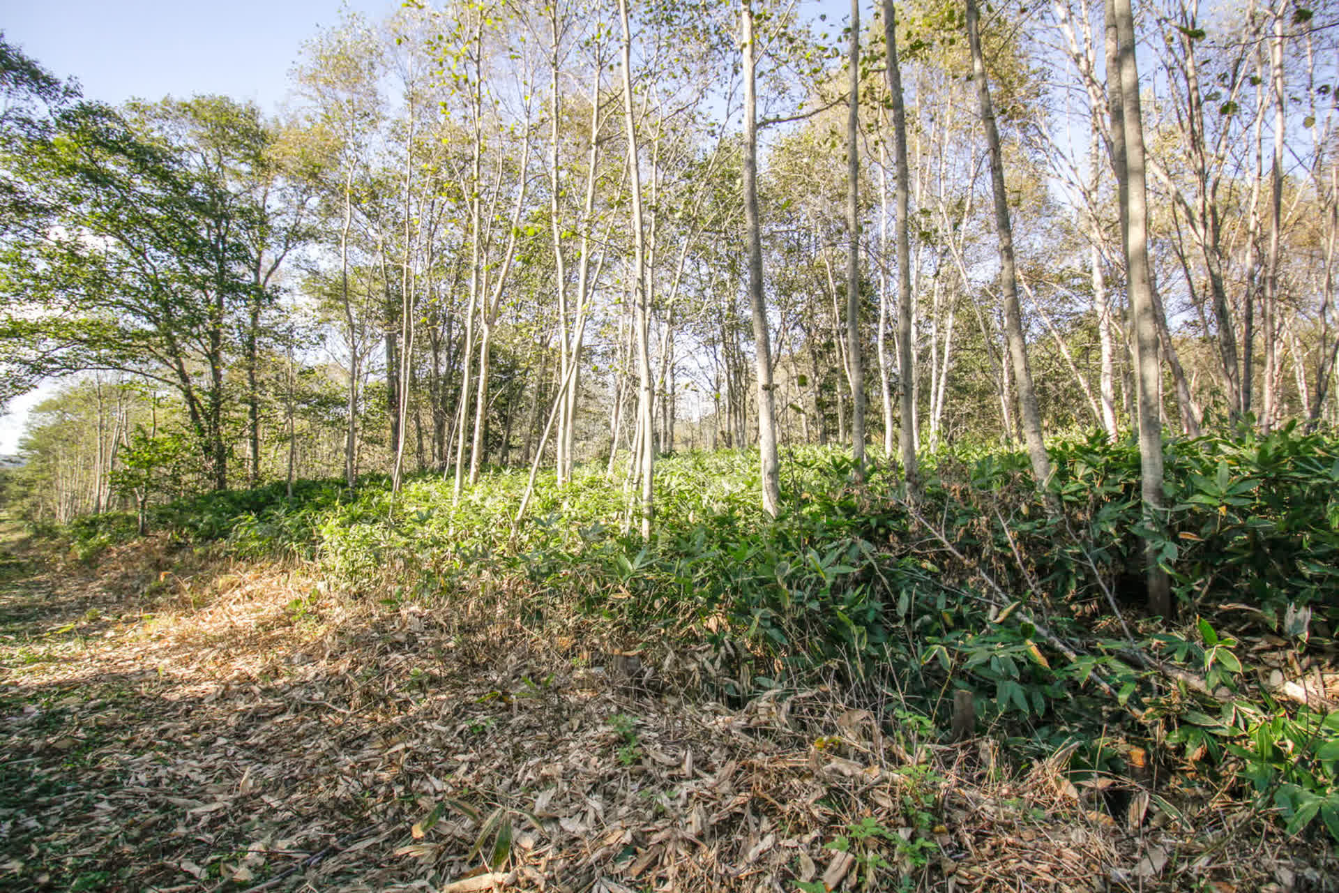 Продажа участка, Южно-Сахалинск, Сахалинская область,  Южно-Сахалинск