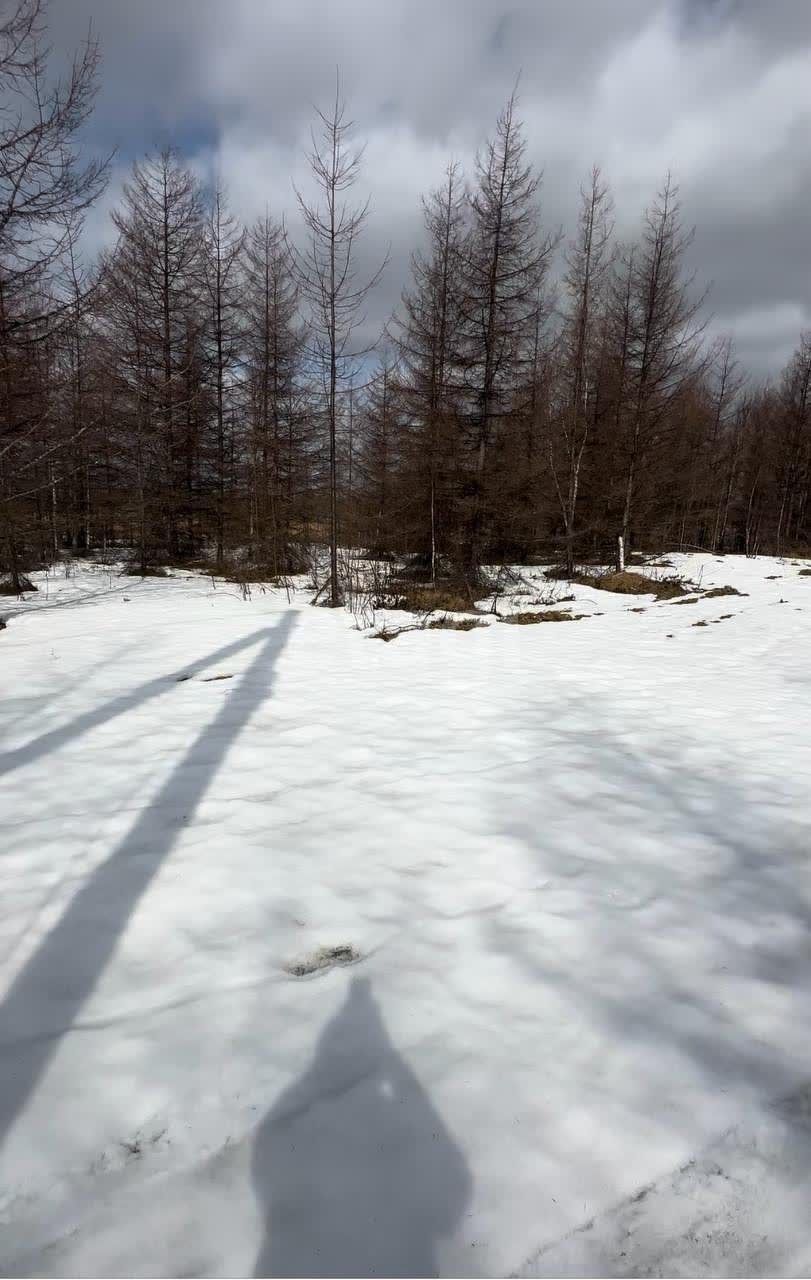 Продажа участка, Южно-Сахалинск, Сахалинская область,  Южно-Сахалинск