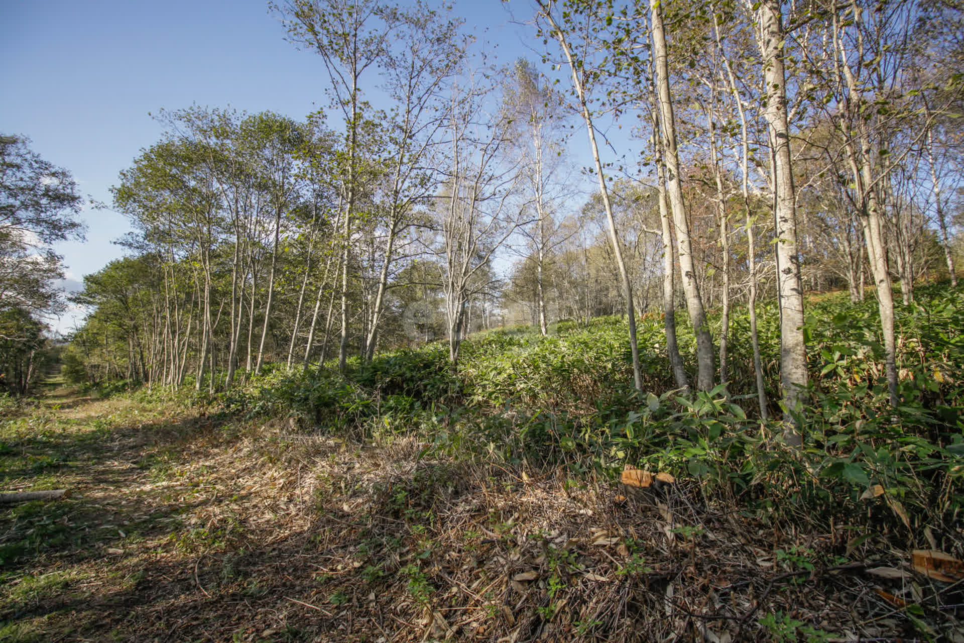 Продажа участка, Южно-Сахалинск, Сахалинская область,  Южно-Сахалинск