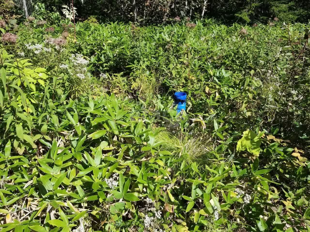 Продажа участка, Южно-Сахалинск, Сахалинская область,  Южно-Сахалинск