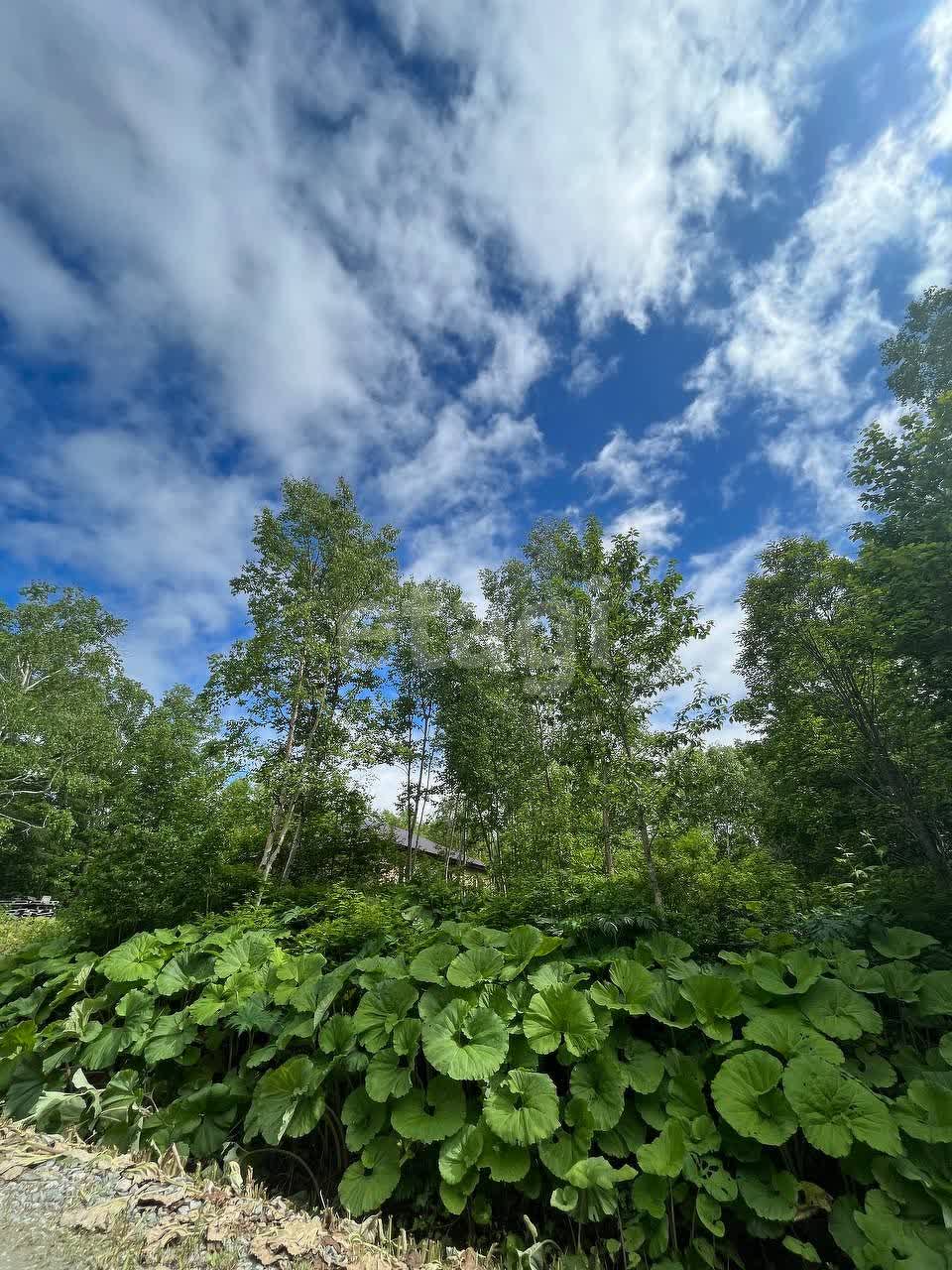 Продажа участка, Южно-Сахалинск, Сахалинская область,  