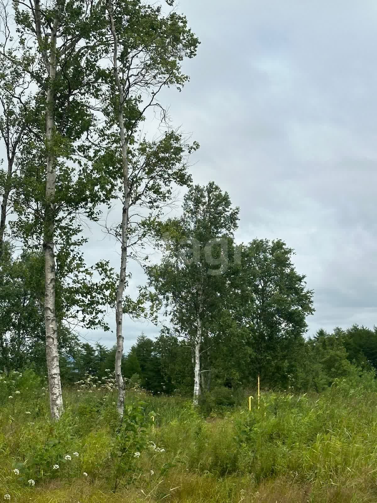 Продажа участка, Южно-Сахалинск, Сахалинская область,  Южно-Сахалинск