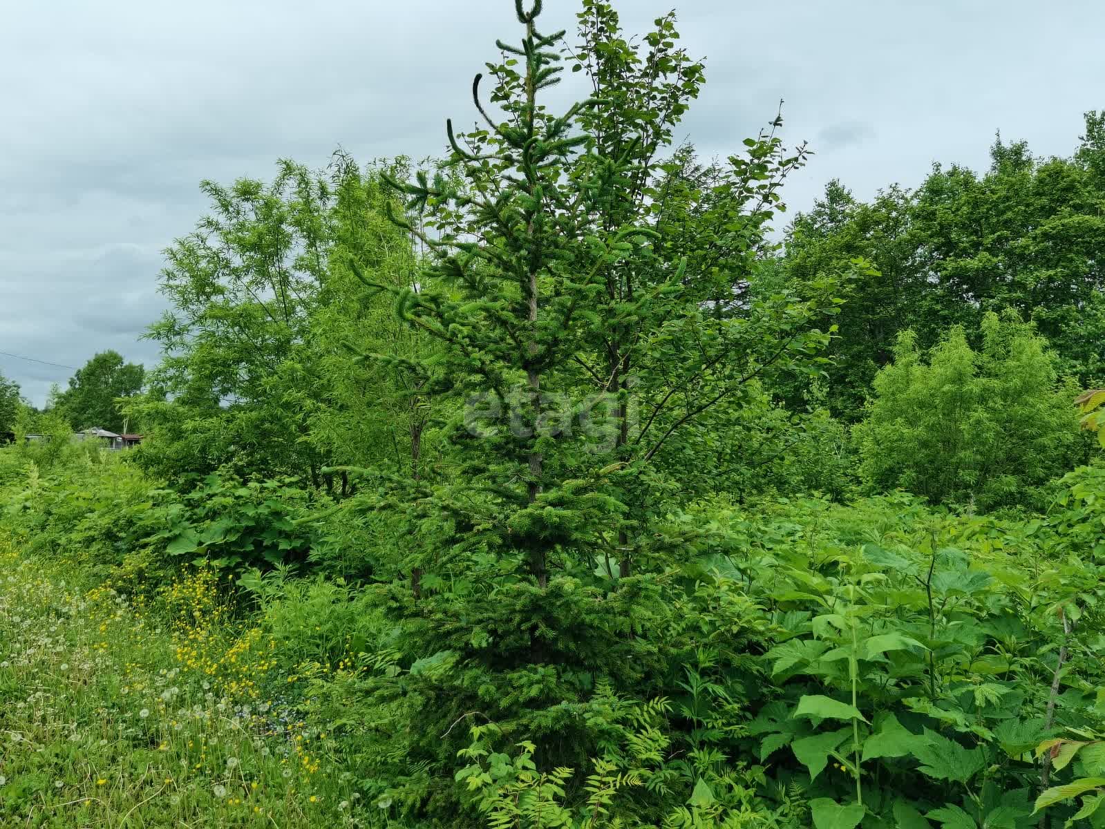 Продажа участка, Южно-Сахалинск, Сахалинская область,  Южно-Сахалинск