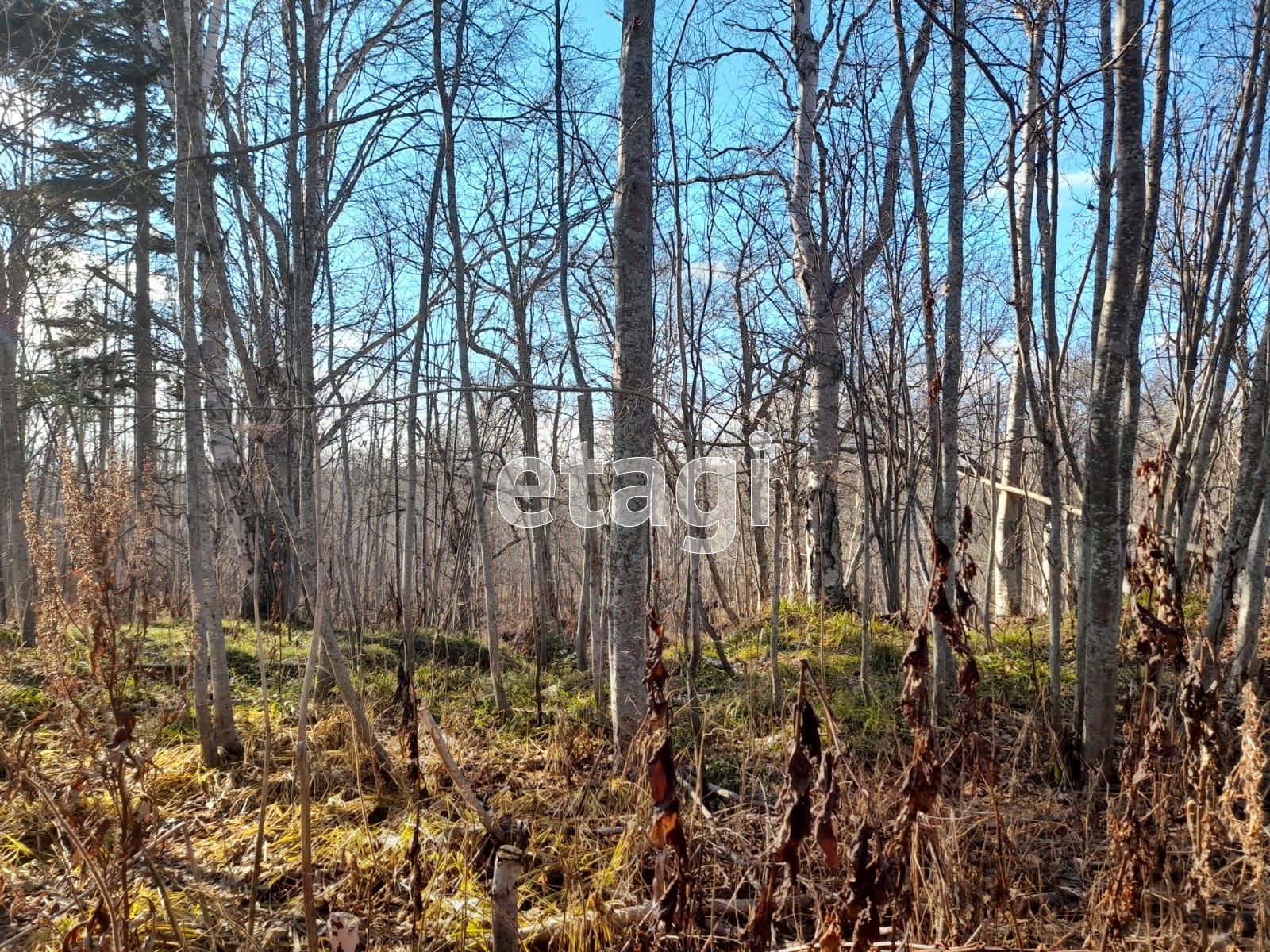 Продажа участка, Южно-Сахалинск, Сахалинская область,  