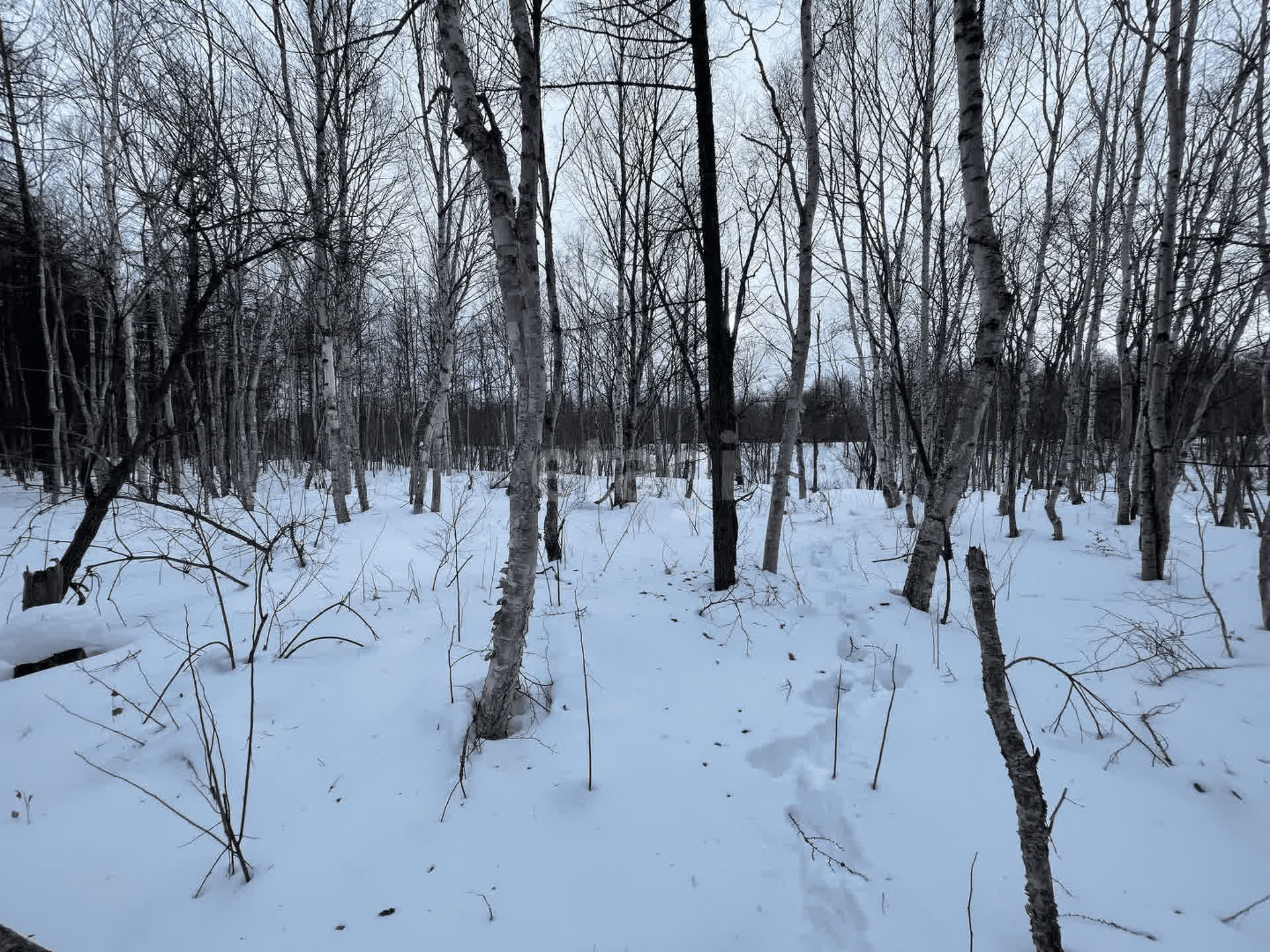 Продажа участка, Южно-Сахалинск, Сахалинская область,  Южно-Сахалинск