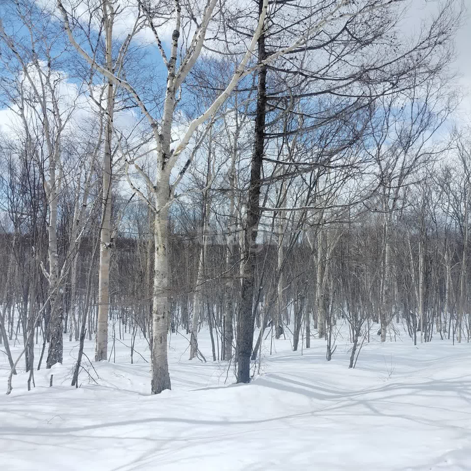 Продажа участка, Южно-Сахалинск, Сахалинская область,  Южно-Сахалинск