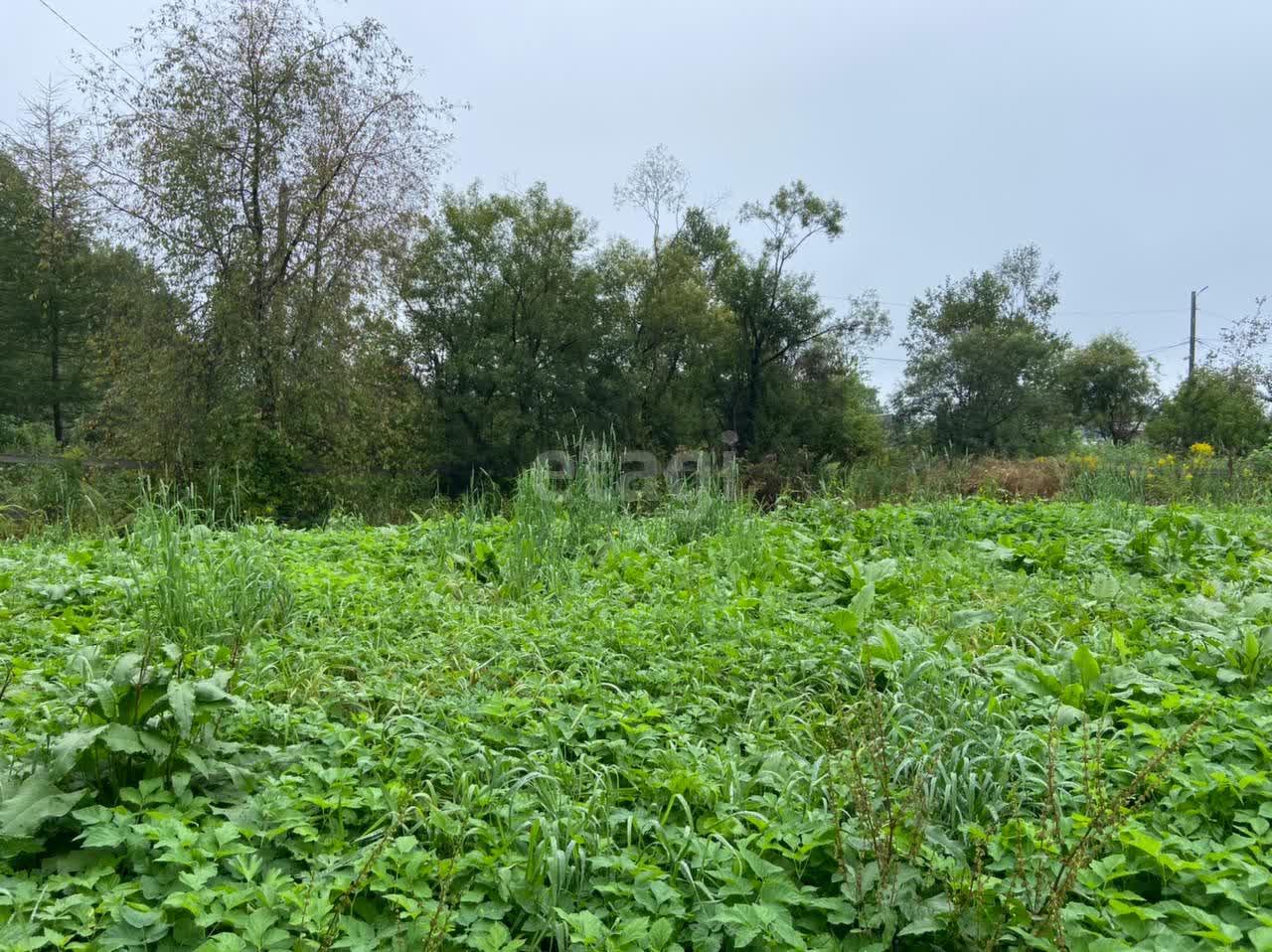 Продажа участка, Южно-Сахалинск, Сахалинская область,  