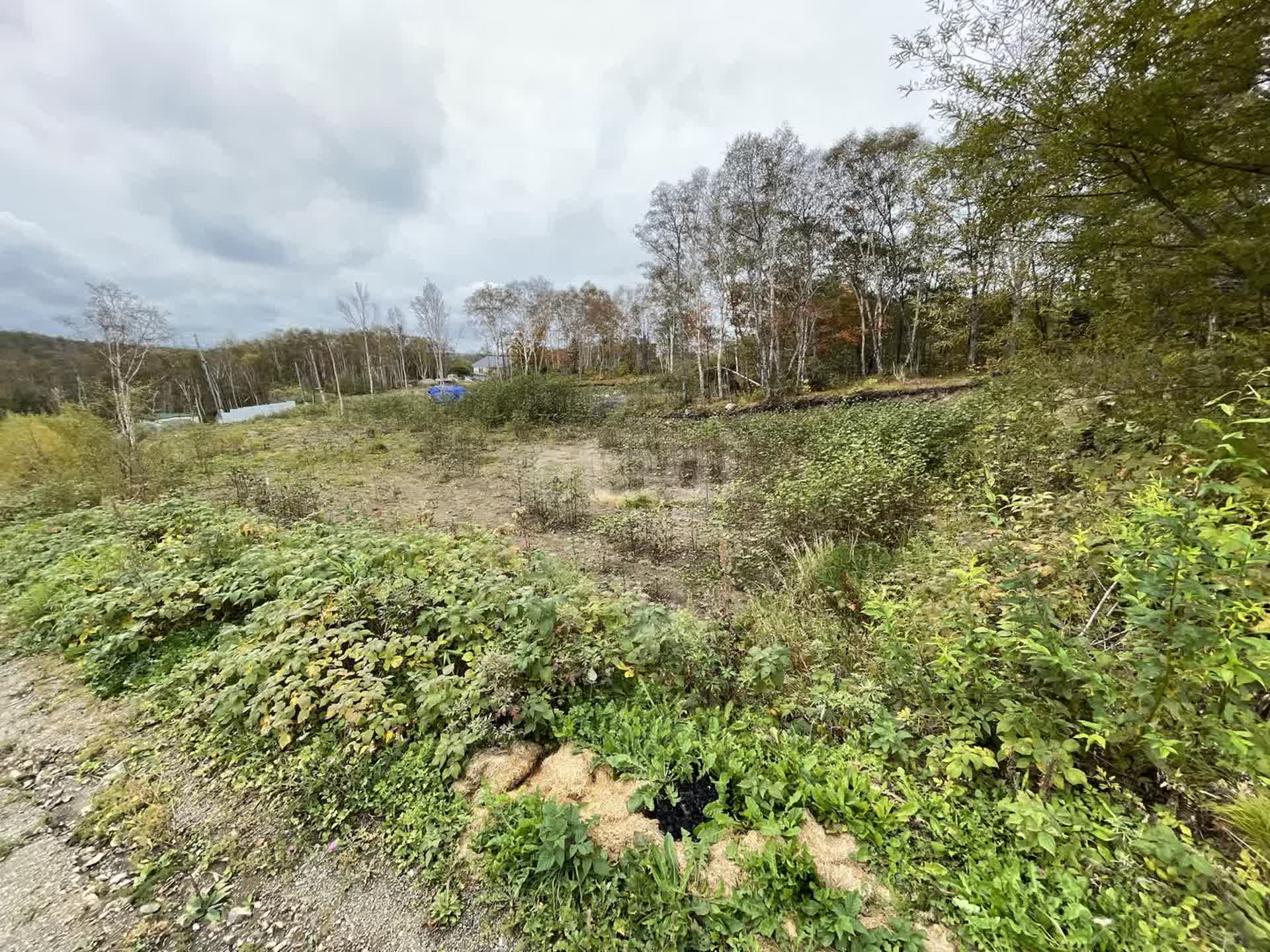 Продажа участка, Южно-Сахалинск, Сахалинская область,  Южно-Сахалинск