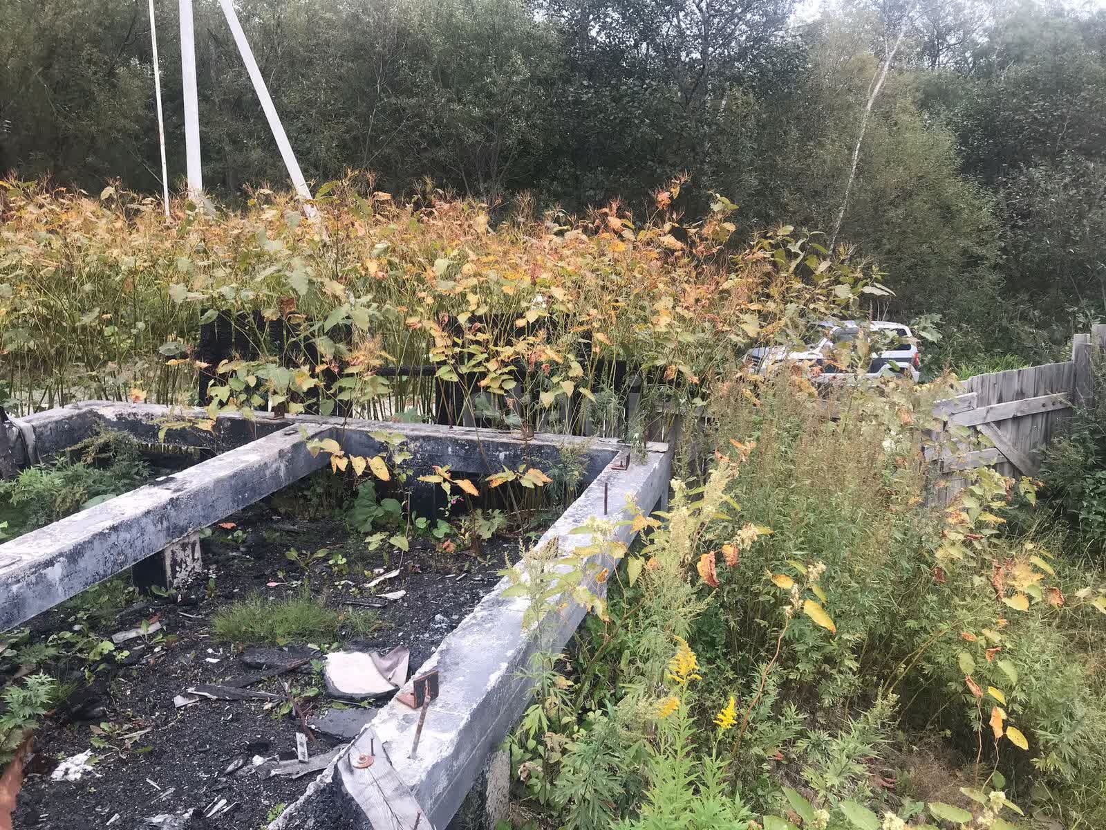 Продажа участка, Южно-Сахалинск, Сахалинская область,  Южно-Сахалинск