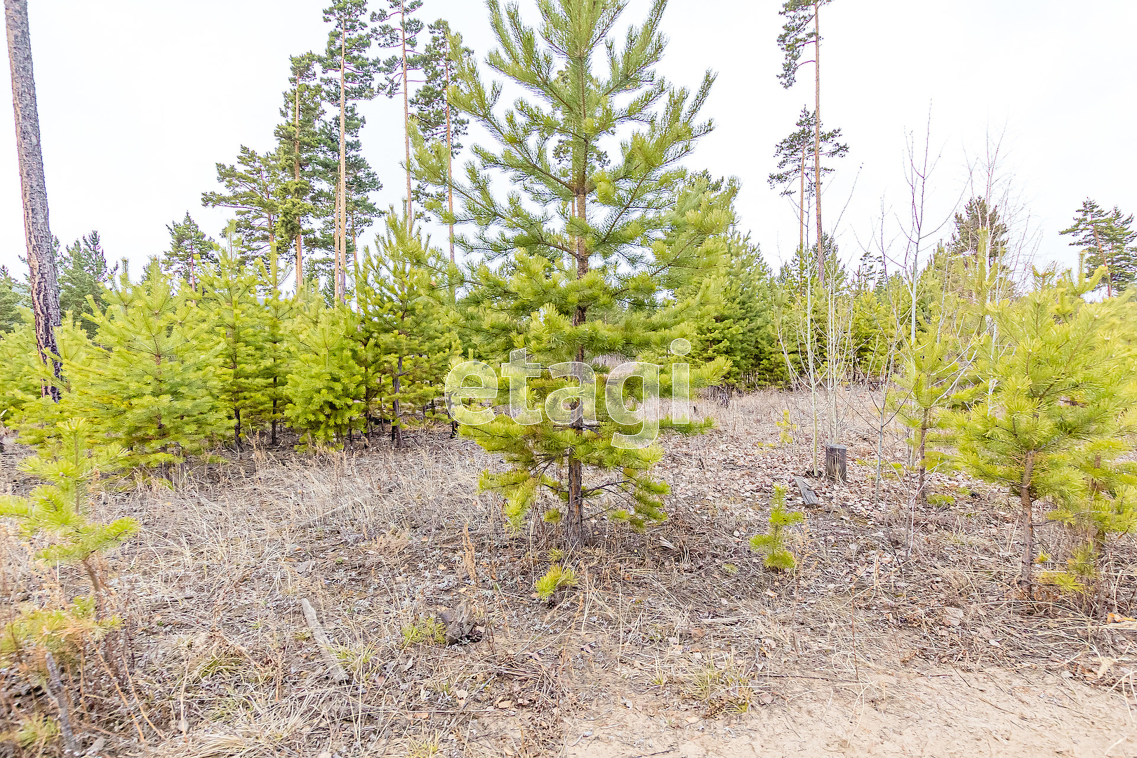 Продажа участка, Улан-Удэ, Республика Бурятия,  Октябрьский