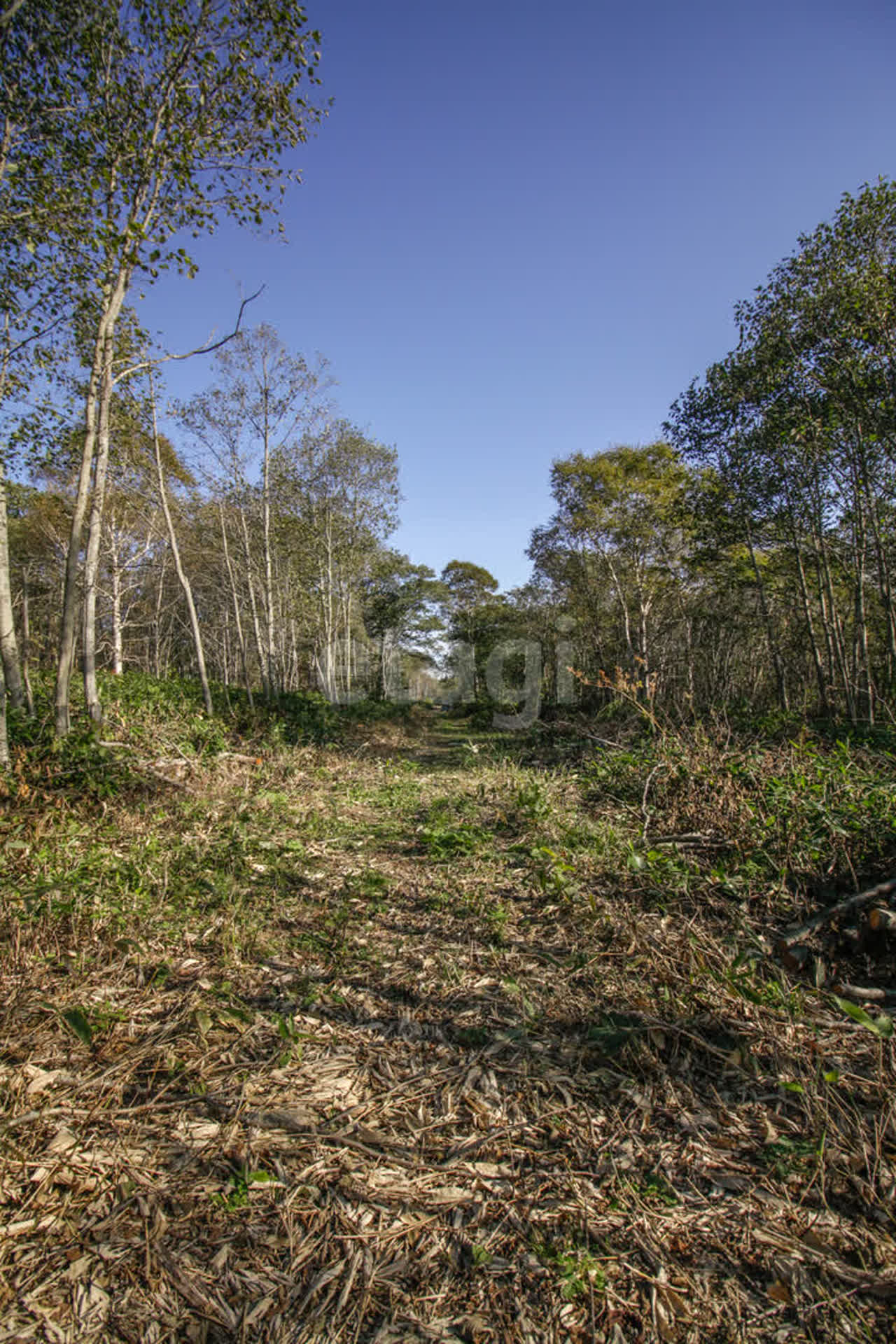 Продажа участка, Южно-Сахалинск, Сахалинская область,  Южно-Сахалинск