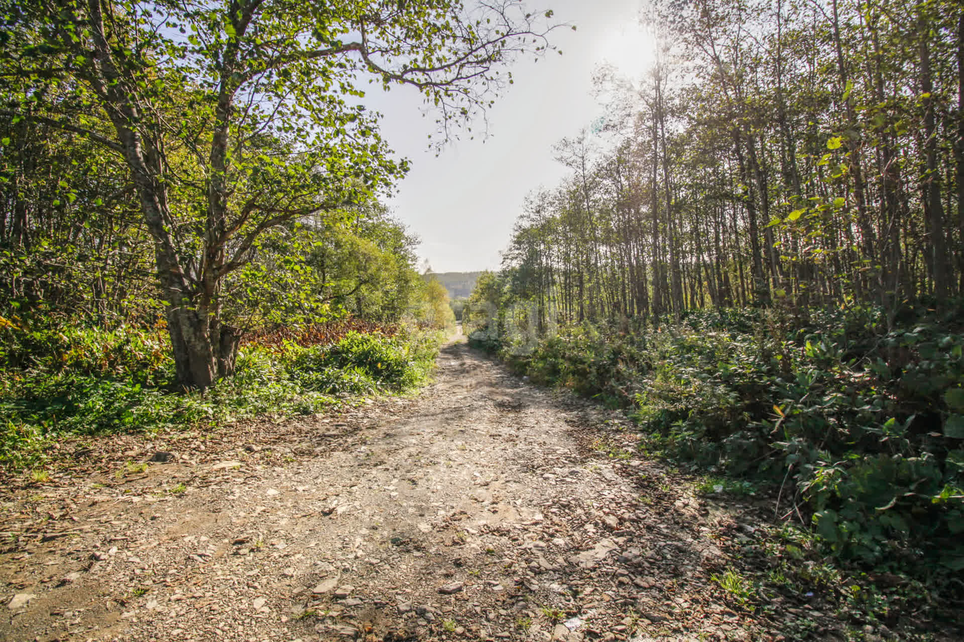 Продажа участка, Южно-Сахалинск, Сахалинская область,  Южно-Сахалинск