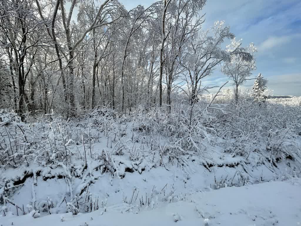 Продажа участка, Южно-Сахалинск, Сахалинская область,  Южно-Сахалинск