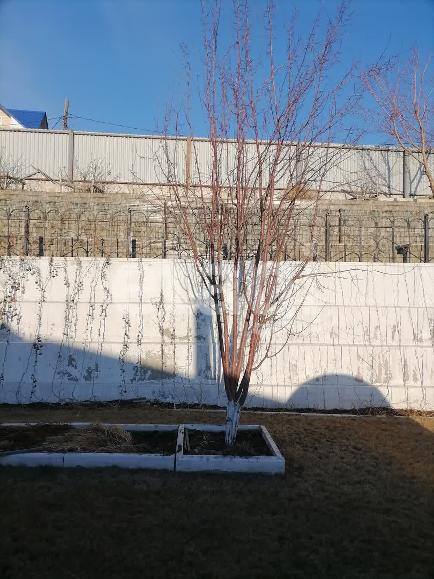 Продажа дома, 254м <sup>2</sup>, 6 сот., Улан-Удэ, Республика Бурятия,  Железнодорожный