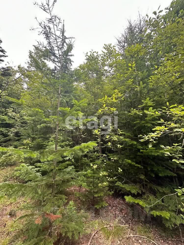 Продажа участка, Южно-Сахалинск, Сахалинская область,  Южно-Сахалинск